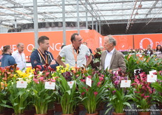 Also the Calla's got some attention.